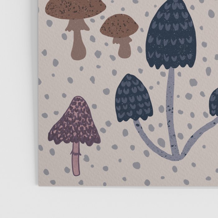 Mushroom collection_04 Poster Gallery Image 3