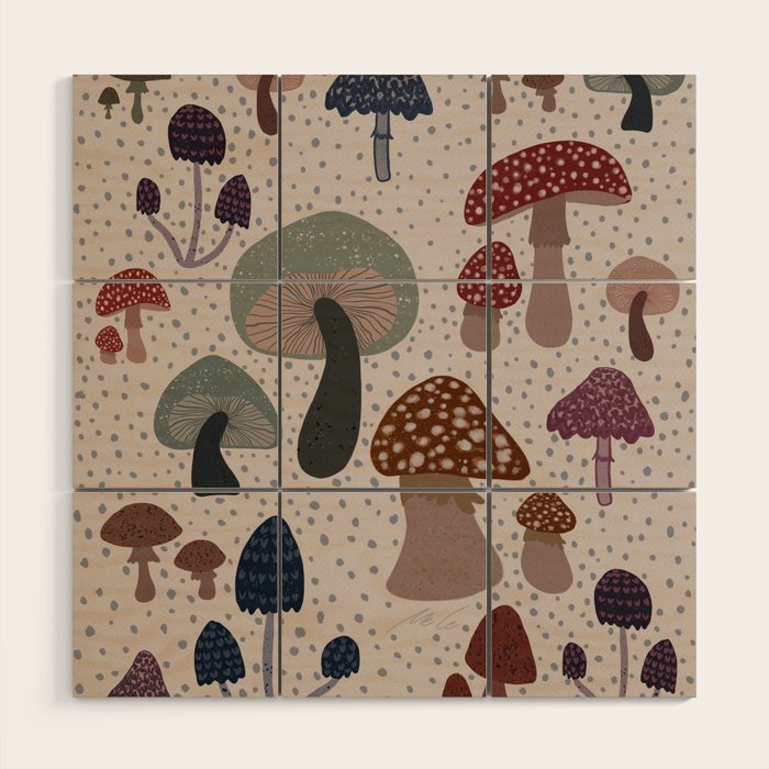Mushroom collection_04 Wood Wall Art Gallery Image 1