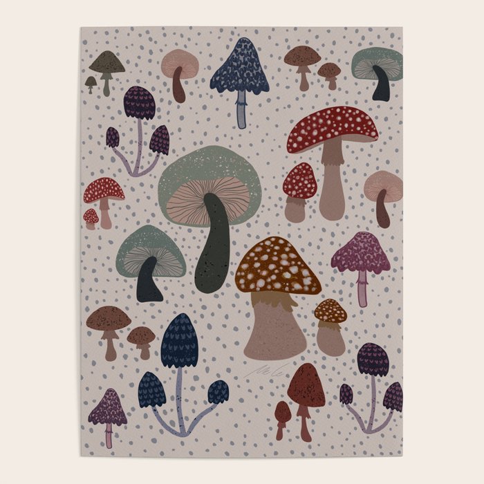 Mushroom collection_04 Poster Gallery Image 4