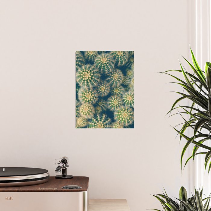 Cactus Poster Gallery Image 2