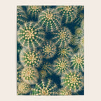 Cactus Poster Gallery Image 4