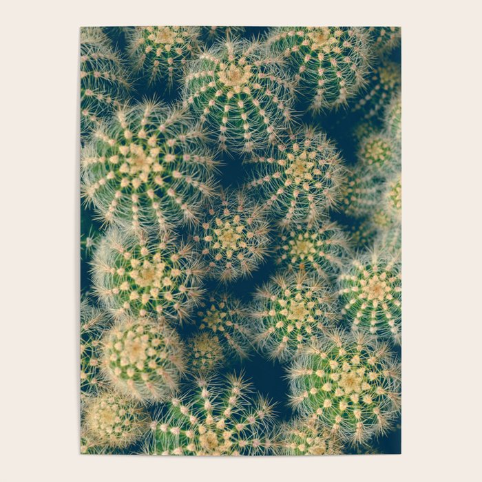 Cactus Poster Gallery Image 4
