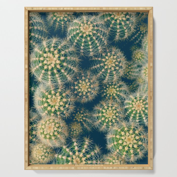 Cactus Serving Tray Gallery Image 1