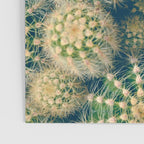 Cactus Poster Gallery Image 3