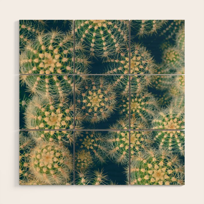 Cactus Wood Wall Art Gallery Image 1