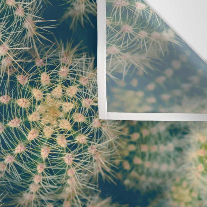 Cactus Wall Tapestry Gallery Image 3