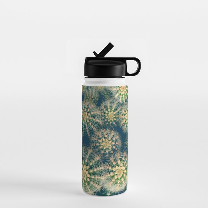Cactus Water Bottle Gallery Image 1