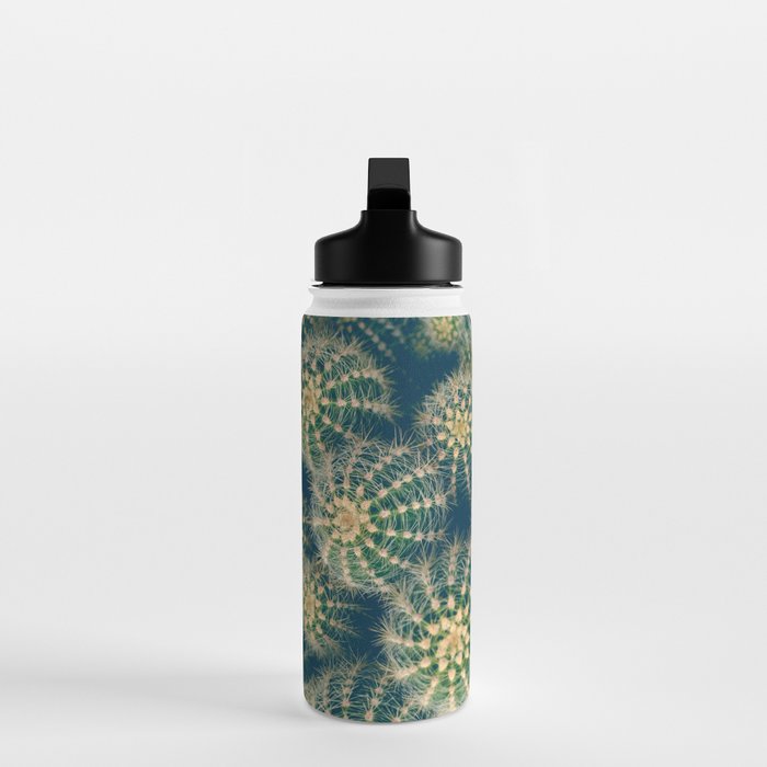 Cactus Water Bottle Gallery Image 3