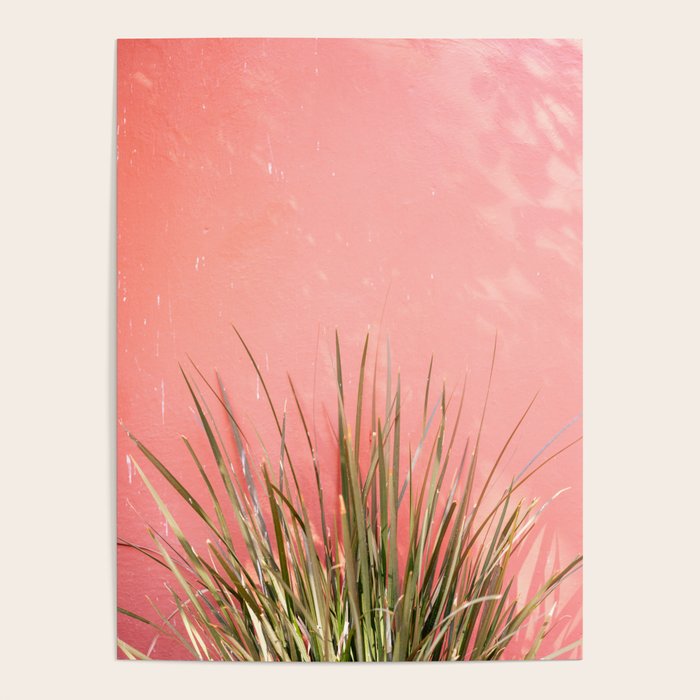 Green on Pink | Mexico travel photography print | Botanical San Miguel de Allende Poster Gallery Image 4