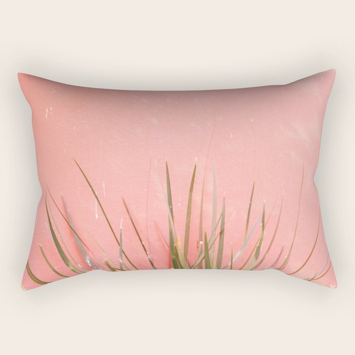Green on Pink | Mexico travel photography print | Botanical San Miguel de Allende Rectangular Pillow Gallery Image 2