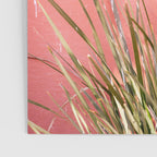 Green on Pink | Mexico travel photography print | Botanical San Miguel de Allende Poster Gallery Image 3