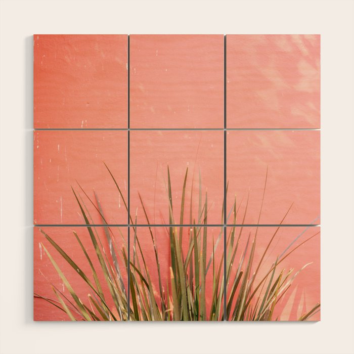 Green on Pink | Mexico travel photography print | Botanical San Miguel de Allende Wood Wall Art Gallery Image 1
