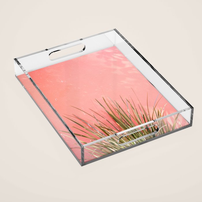 Green on Pink | Mexico travel photography print | Botanical San Miguel de Allende Acrylic Tray Gallery Image 1