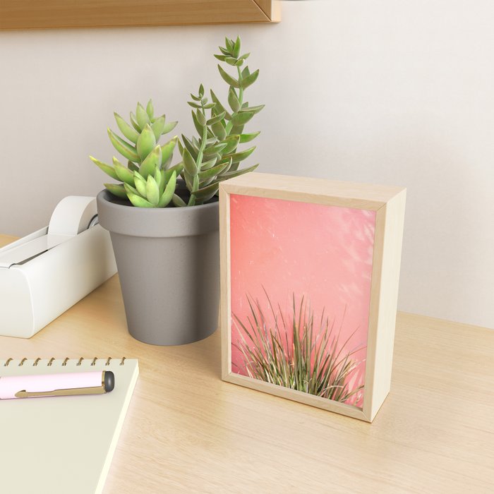 Green on Pink | Mexico travel photography print | Botanical San Miguel de Allende Mini Art Print Gallery Image 2