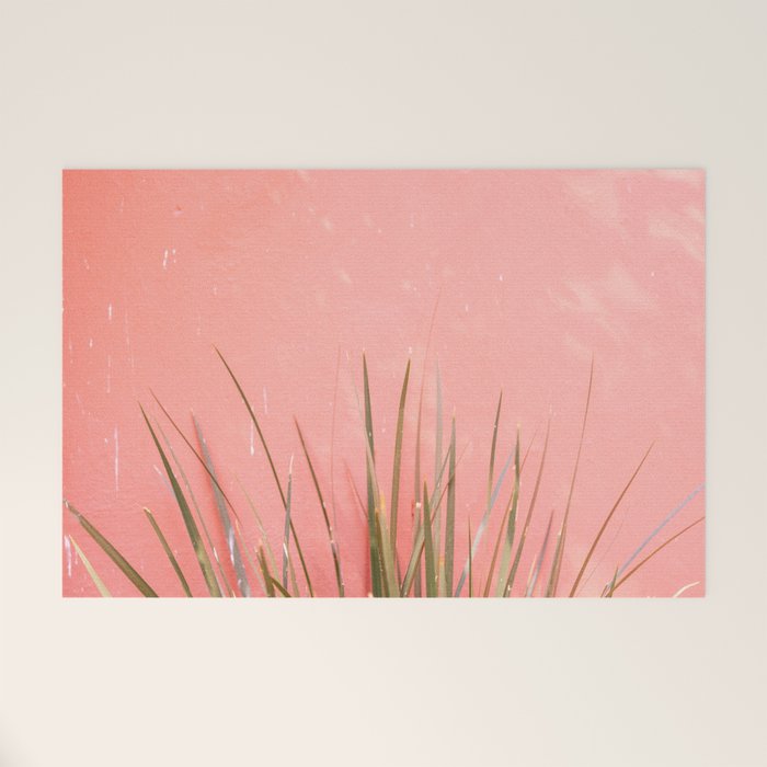 Green on Pink | Mexico travel photography print | Botanical San Miguel de Allende Welcome Mat Gallery Image 1