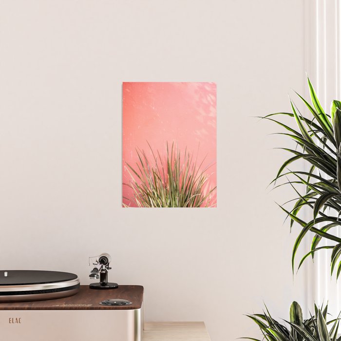 Green on Pink | Mexico travel photography print | Botanical San Miguel de Allende Poster Gallery Image 2