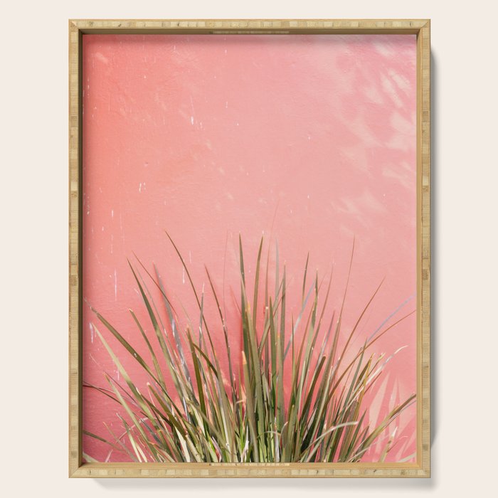Green on Pink | Mexico travel photography print | Botanical San Miguel de Allende Serving Tray Gallery Image 1