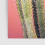 Cactus & Coral | Marrakech Minimalism Botanical Photography Poster Gallery Image 3