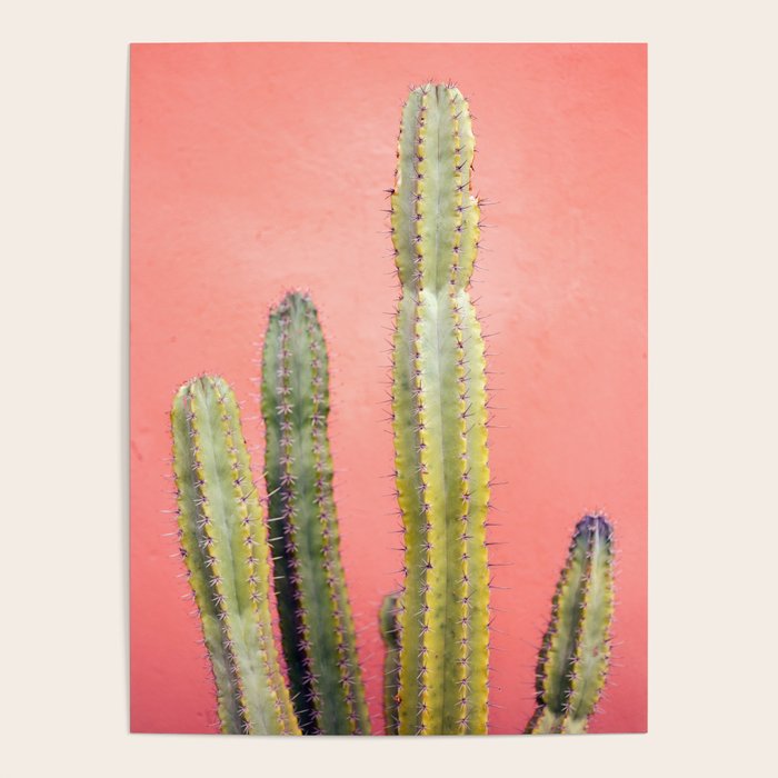 Cactus & Coral | Marrakech Minimalism Botanical Photography Poster Gallery Image 4