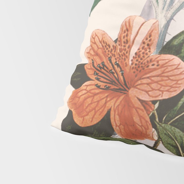 natural beauty-collage 2 Pillow Sham Gallery Image 4