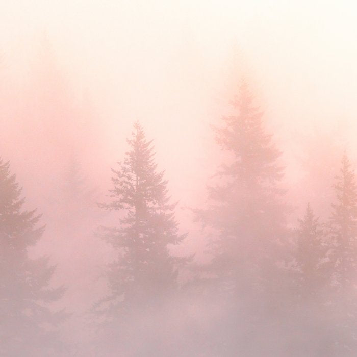 Foggy Forest Adventure - Mountain Woods Wanderlust Coffee Mug Gallery Image 2