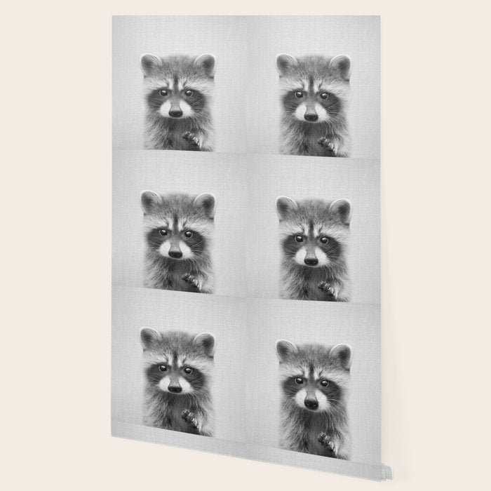 Raccoon - Black & White Wallpaper Gallery Image 2