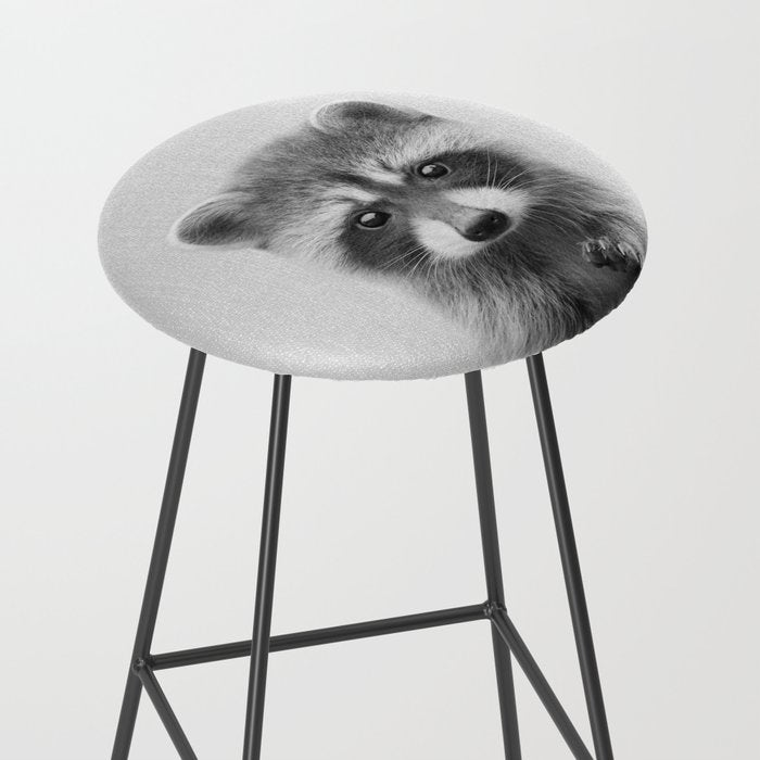 Raccoon - Black & White Stool Gallery Image 2