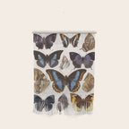 Vintage Scientific Insect Butterfly Moth Biological Hand Drawn Species Art Illustration Wall Hanging Gallery Image 1