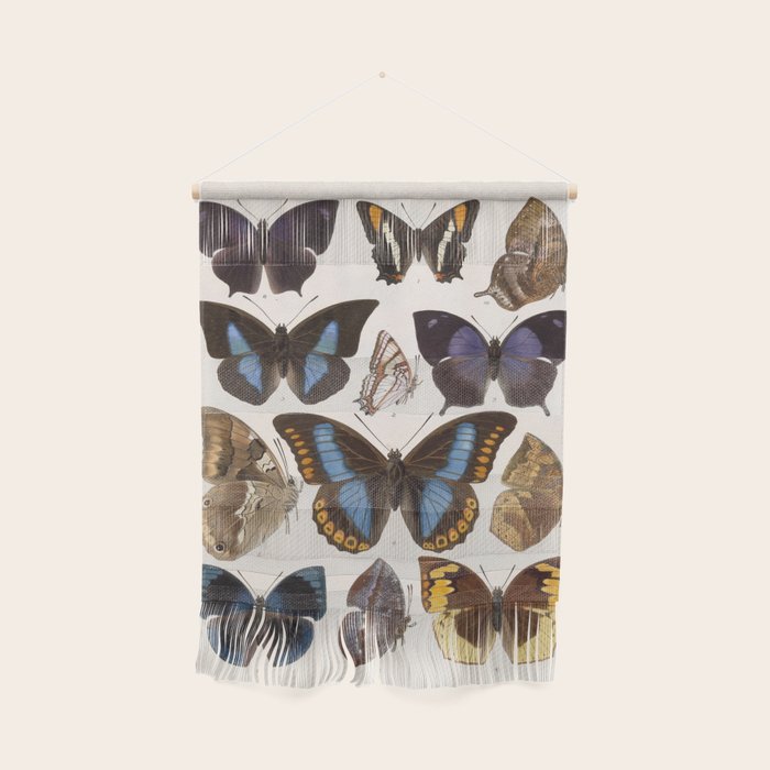 Vintage Scientific Insect Butterfly Moth Biological Hand Drawn Species Art Illustration Wall Hanging Gallery Image 1