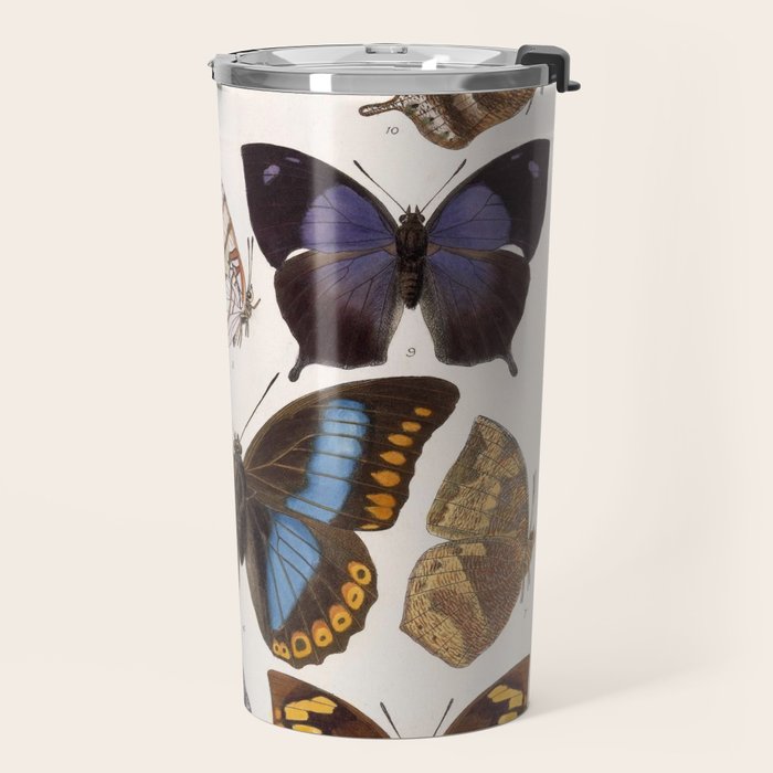 Vintage Scientific Insect Butterfly Moth Biological Hand Drawn Species Art Illustration Travel Mug Gallery Image 2