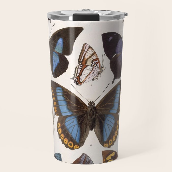 Vintage Scientific Insect Butterfly Moth Biological Hand Drawn Species Art Illustration Travel Mug Gallery Image 1