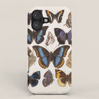 Vintage Scientific Insect Butterfly Moth Biological Hand Drawn Species Art Illustration iPhone Case Gallery Image 1