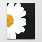 Large White Daisy on Black Background #decor #society6 #buyart Notebook Gallery Image 4
