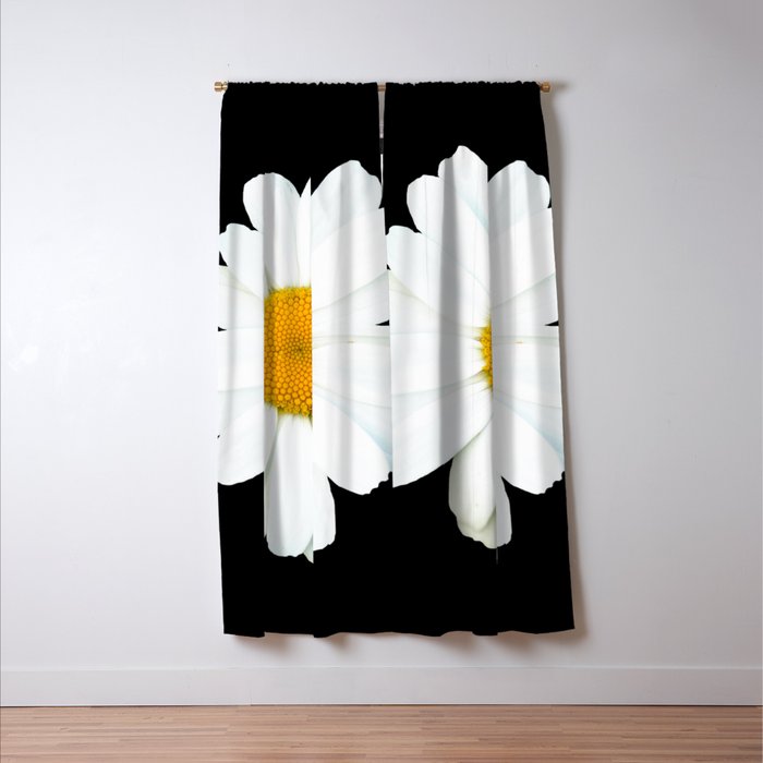 Large White Daisy on Black Background #decor #society6 #buyart Window Curtain Gallery Image 3