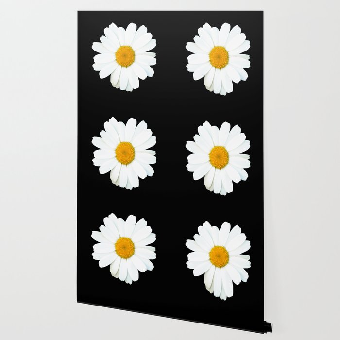 Large White Daisy on Black Background #decor #society6 #buyart Wallpaper Gallery Image 2