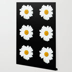 Large White Daisy on Black Background #decor #society6 #buyart Wallpaper Gallery Image 2