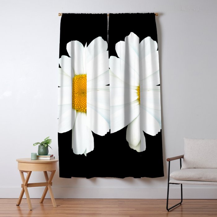 Large White Daisy on Black Background #decor #society6 #buyart Window Curtain Gallery Image 5