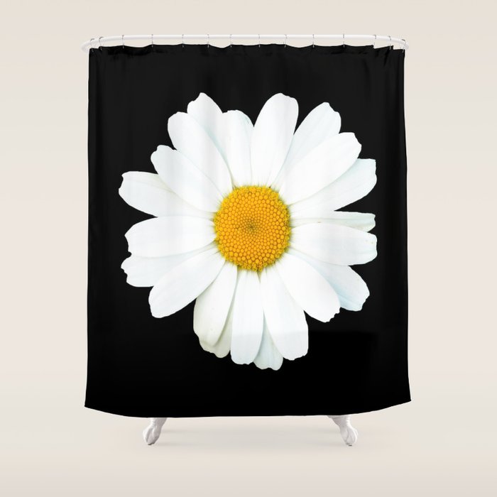 Large White Daisy on Black Background #decor #society6 #buyart Shower Curtain Gallery Image 1