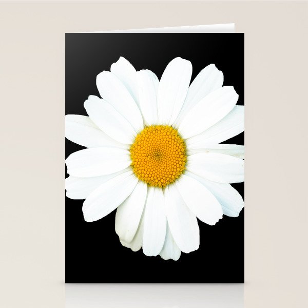 Large White Daisy on Black Background #decor #society6 #buyart Stationery Card Gallery Image 1