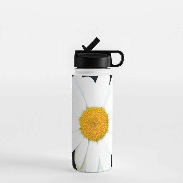 Large White Daisy on Black Background #decor #society6 #buyart Water Bottle Gallery Image 1