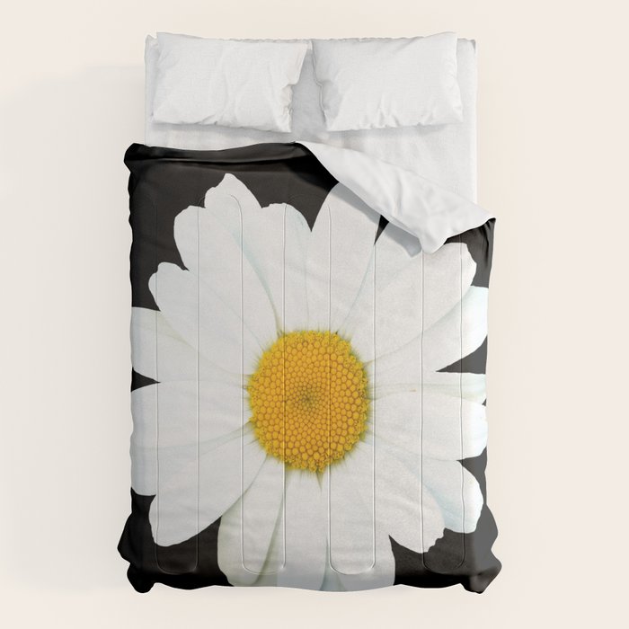 Large White Daisy on Black Background #decor #society6 #buyart Comforter Gallery Image 1