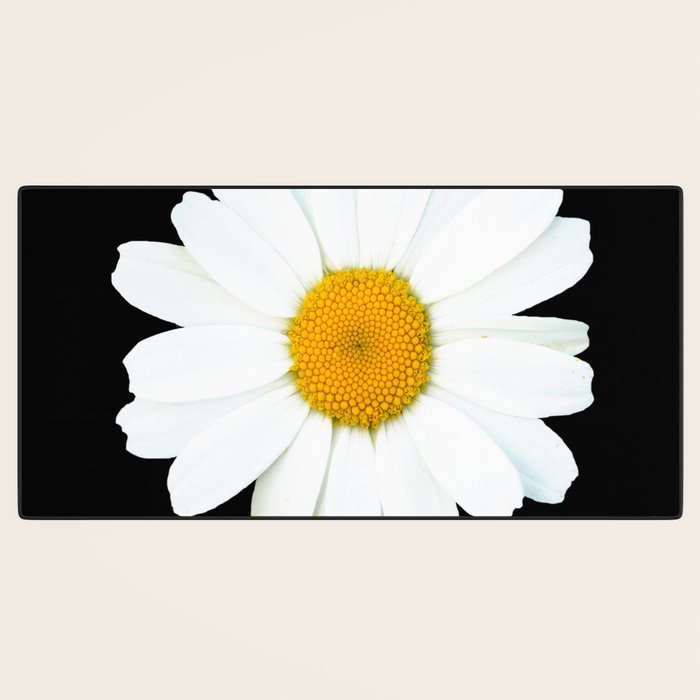 Large White Daisy on Black Background #decor #society6 #buyart Desk Mat Gallery Image 3