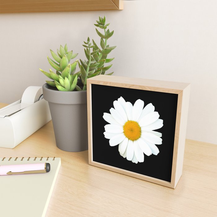 Large White Daisy on Black Background #decor #society6 #buyart Mini Art Print Gallery Image 2