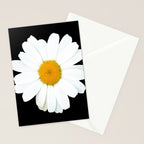 Large White Daisy on Black Background #decor #society6 #buyart Stationery Card Gallery Image 2