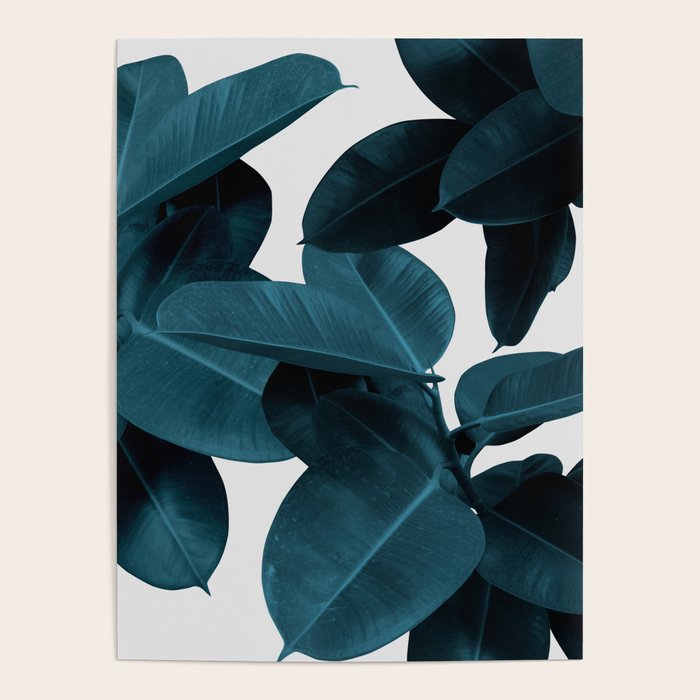 Indigo Blue Plant Leaves Poster Gallery Image 4