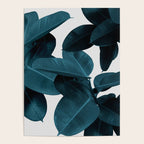 Indigo Blue Plant Leaves Poster Gallery Image 4