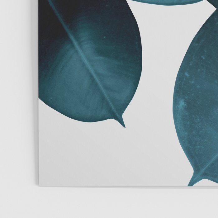 Indigo Blue Plant Leaves Poster Gallery Image 3