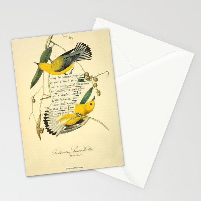 Bird Divinations: Prothonotary swamp warbler (about: almanacofbirds.org) Stationery Card Gallery Image 2