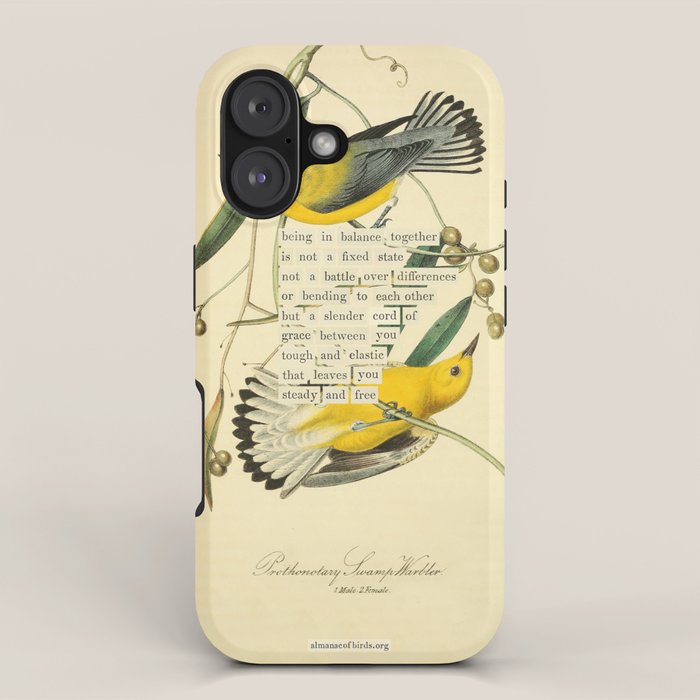 Bird Divinations: Prothonotary swamp warbler (about: almanacofbirds.org) iPhone Case Gallery Image 1