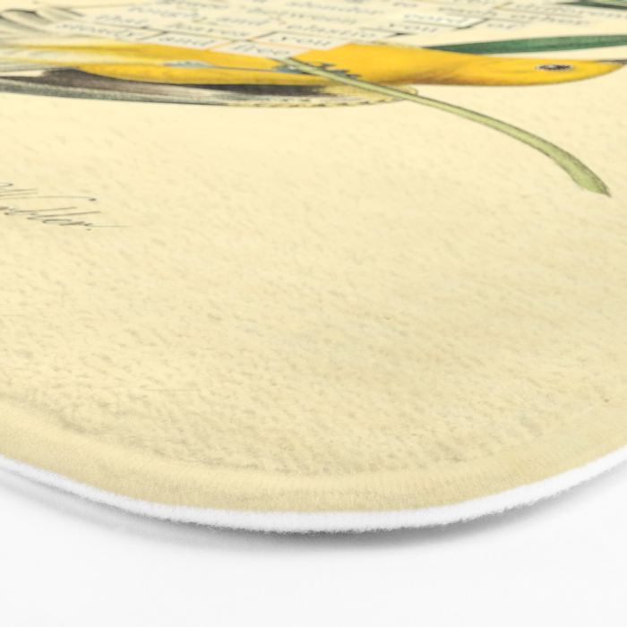 Bird Divinations: Prothonotary swamp warbler (about: almanacofbirds.org) Bath Mat Gallery Image 3